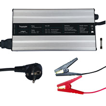 Charger LiFePO4 Battery 12V 10A