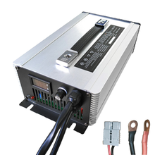 Ladegerät LiFePO4 Akku 12V 100A