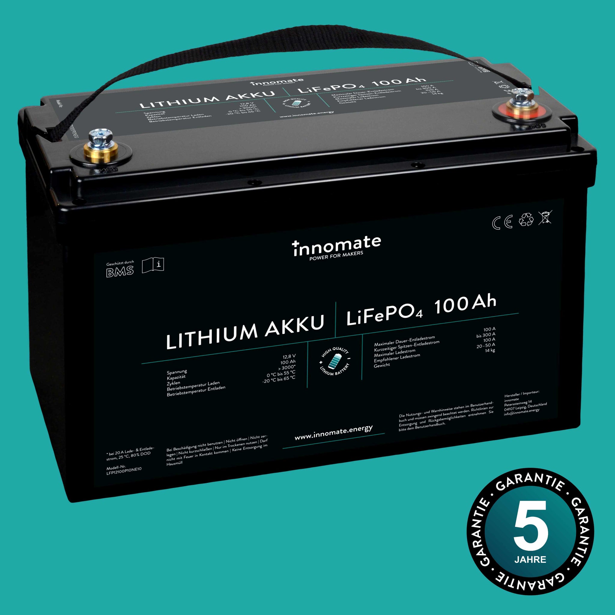 LiFePO4 Akku 12V 100Ah Lithium Deep Cycle Batterie mit LED Anzeige